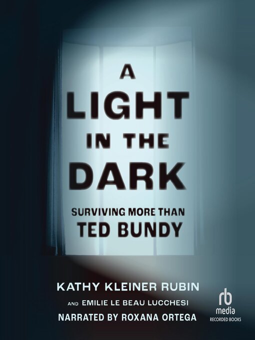 Title details for A Light in the Dark by Kathy Kleiner Rubin - Available